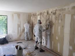 Best Emergency Mold Remediation  in Perham, MN